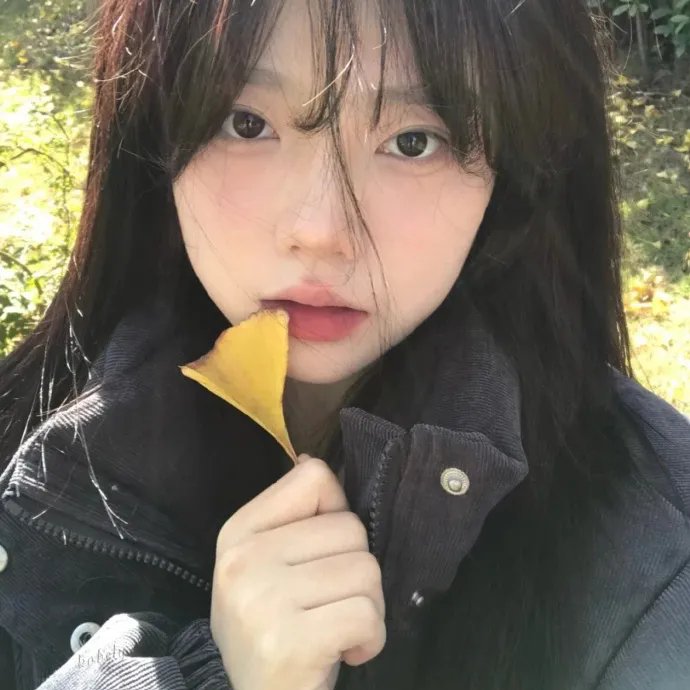 荒野独居第十季